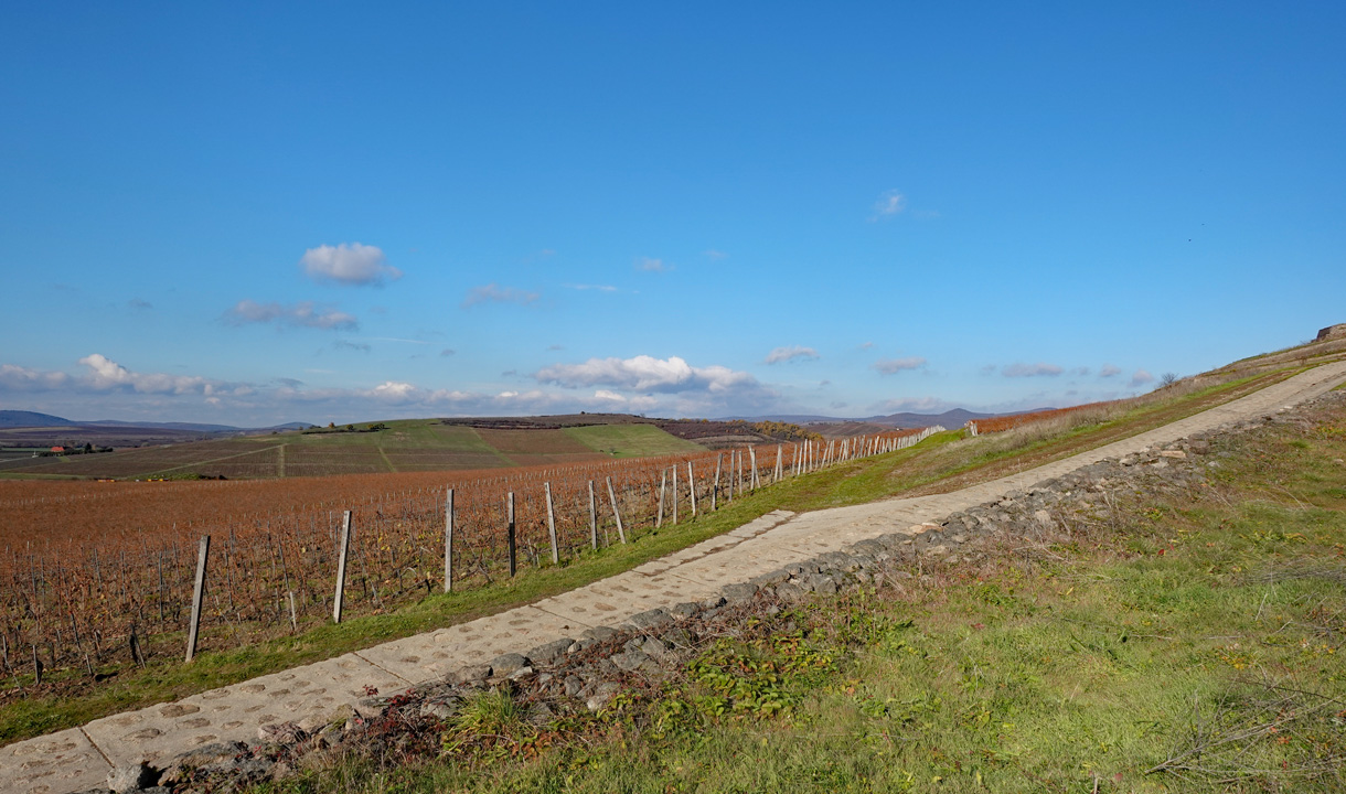 Coteaux de Tokaj